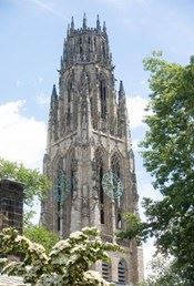 Benefits of Summer Programs at Top Universities